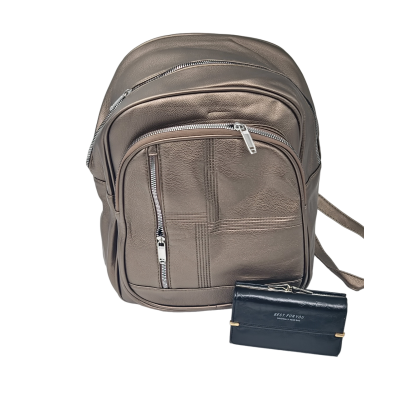 Set Rucsac Argintiu + Portofel